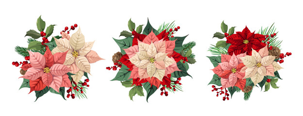 A set of winter bouquets with poinsettias, cones and hollies. Christmas decor on a white background. Vector.
