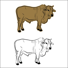 Cow Line Art / Cows Silhouette / Simple Cow Vector