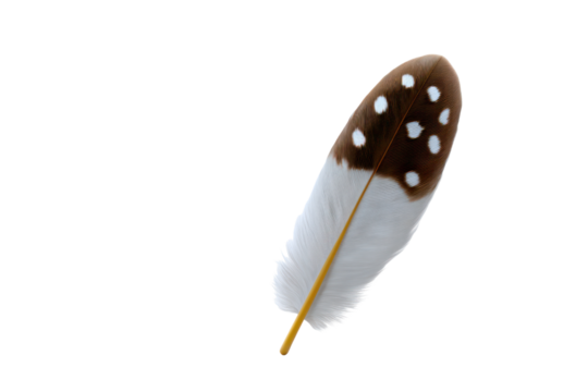 Feather’s Serenity: A singular feather, painted with intricate brown spots on a pure white surface, evoking a sense of calm tranquility.