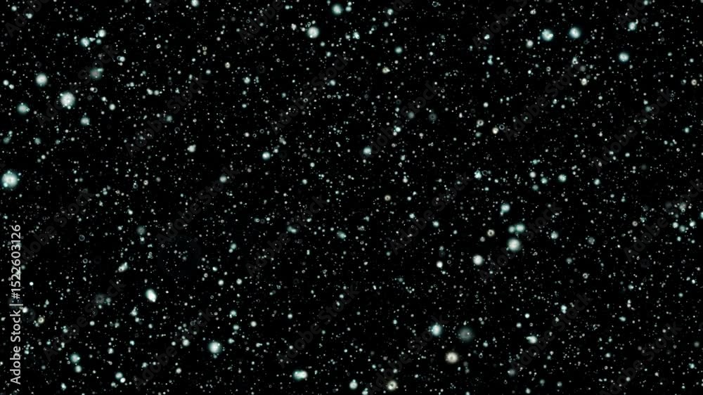 Wall mural loop glow circle white stars particles flow up animation motion on black abstract background. white 