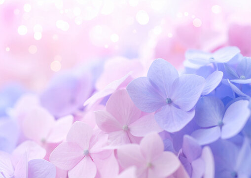 「きれいな花」の写真素材 | 6,026,212件の無料イラスト画像 | Adobe Stock