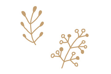 北欧風の手描き植物ベクターイラスト　金