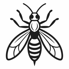 Wasp outline icon on white background