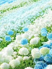 A beautiful field of colorful flowers displaying various shades