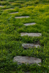 stone path in the garden at sunrise