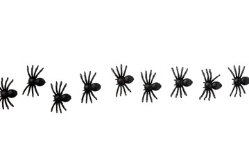 Black spiders isolated on a transparent background. A design element for celebrating Halloween