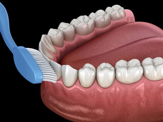Toothbrush cleaning teeth. Medically accurate 3D illustration of oral hygiene.