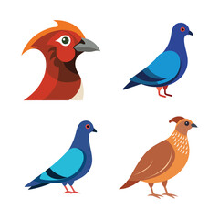 Bird flat color bundle 