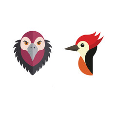 Fototapeta premium Bird flat color bundle 