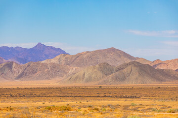Arid landscape in the Richtersveld National Park