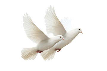 Two white doves in flight on black background with outstretched wings, cut out