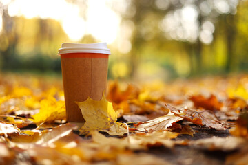 Eco zero waste paper cup take away with hot drink, coffee or tea outdoors in the sunny autumn park. Falling colorful leaves on background. Concept of seasonal warm drinks to go in cold weather.