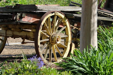 Obraz premium a wooden wagon with a cart in the middle of a garden.Old wooden cart in the garden, close up of a wheel.