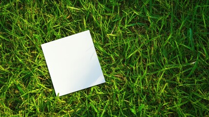 Grass Business Card. Blank White Paper Sheet on Nature Background
