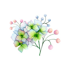 Beautiful watercolor illustration of hydrangea flowers in blue hues
