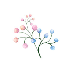 Naklejka premium Watercolor illustration of a delicate branch with pink and blue berries.