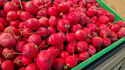 Fresh radishes are sold in the store. A pile of ripe radishes at the market. Healthy eating concept. Vegetable department of the supermarket. Fresh radishes on the counter of the grocery store. Food