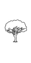 a branch tree illustration