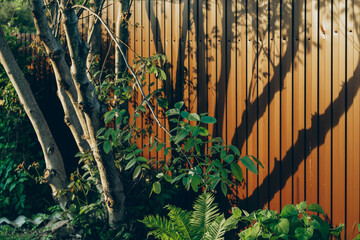 tree shadow on brown metal fence with green foliage in summer garden