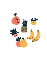  exotic fruits in minimalist style
