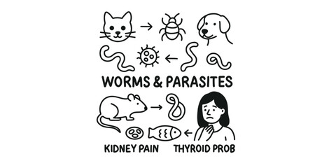  educational set about harmful bacteria