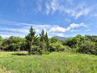 Obraz premium Landscape over a meadow with a mountain in the background in the countryside near the town of Besalu, Spain.