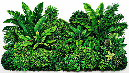 Green tropical plants bush, cut out on white background.