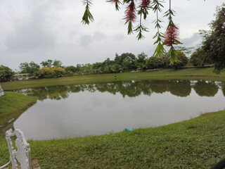 Still Pond Reflecting Cloudy Sky with Green Grass Lawn