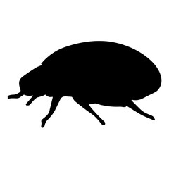 Insect silhouette