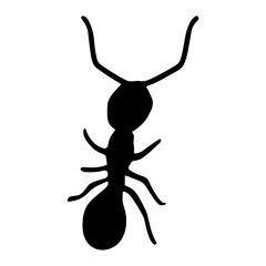 Insect silhouette