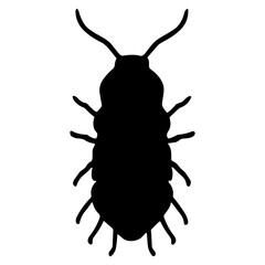 Insect silhouette