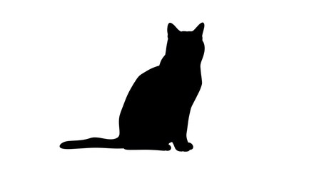 Black Cat Silhouette Sitting Isolated on White