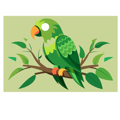 vector illustration of a parrot