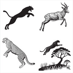Obraz premium Four Detailed Line Art Leopard Illustrations
