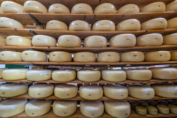 cheese wheels in ripening storage