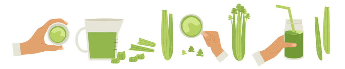 Celery set landscape. Hand with juice in glasses, view from different sides, bunches, chopped stems, leaves, decanter.