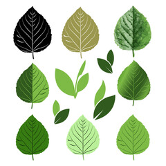 set of green leaves, seamless pattern with leaves