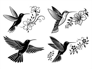 Obraz premium hummingbird-sihouette-blackvector bundle