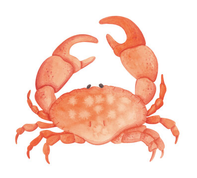 Cute red crab drawn with watercolor in naive, cartoon style. Perfect for children's designs, summer themes, sea life collections, and nautical illustrations. Isolated on a white background, great for