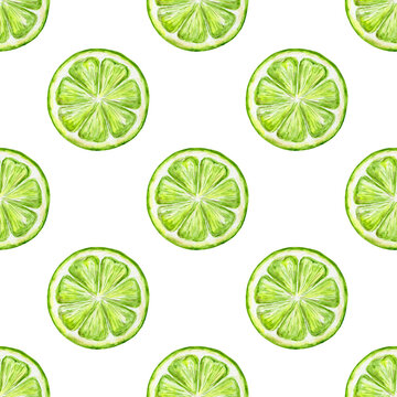 Lime green, watercolor seamless pattern on a white background. Botanical illustration of a juicy citrus fruit. For textile, package, wrapping, cards, decoration