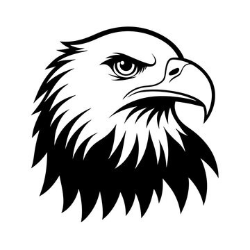 eagle vector illustration