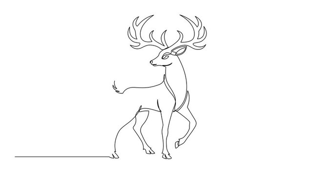 Self drawing simple animation of single continuous one line drawing animal, Reindeer continuous one line drawing, single line art deer animal element, Full length motion.