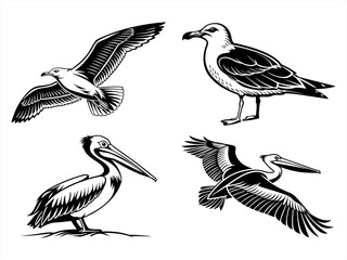 seagull sihouette black vector bundle