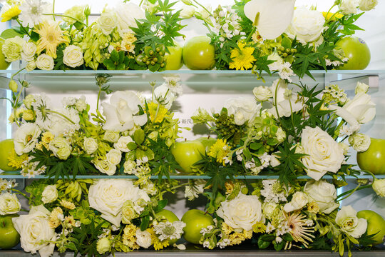 Flowers and plants in the fridge