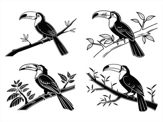 toucan sihouette black vector bundle © mst