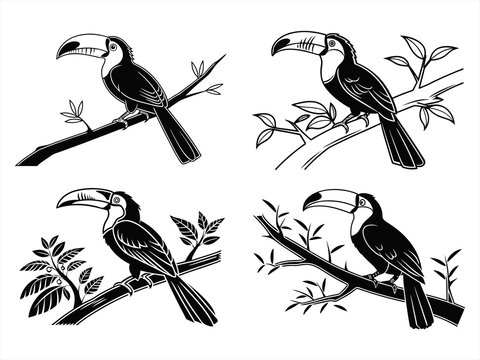 toucan sihouette black vector bundle