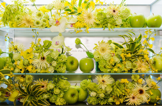 Flowers and plants in the fridge
