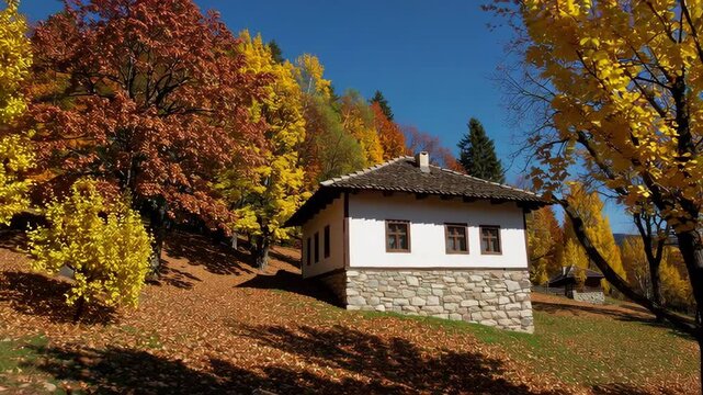 Traditional white house nestled in autumn woods
