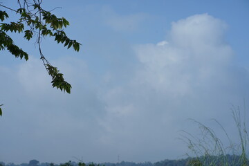 Serene Landscape Misty Morning Sky with Lush Greenery and Fluffy Clouds