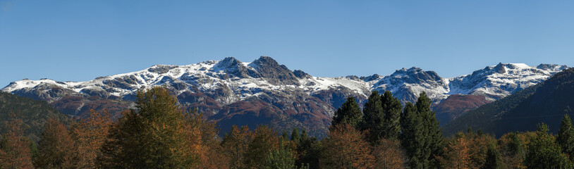 Panoramic view showcases snowcapped mountains rising majestically above a line of evergreen and autumn-colored trees